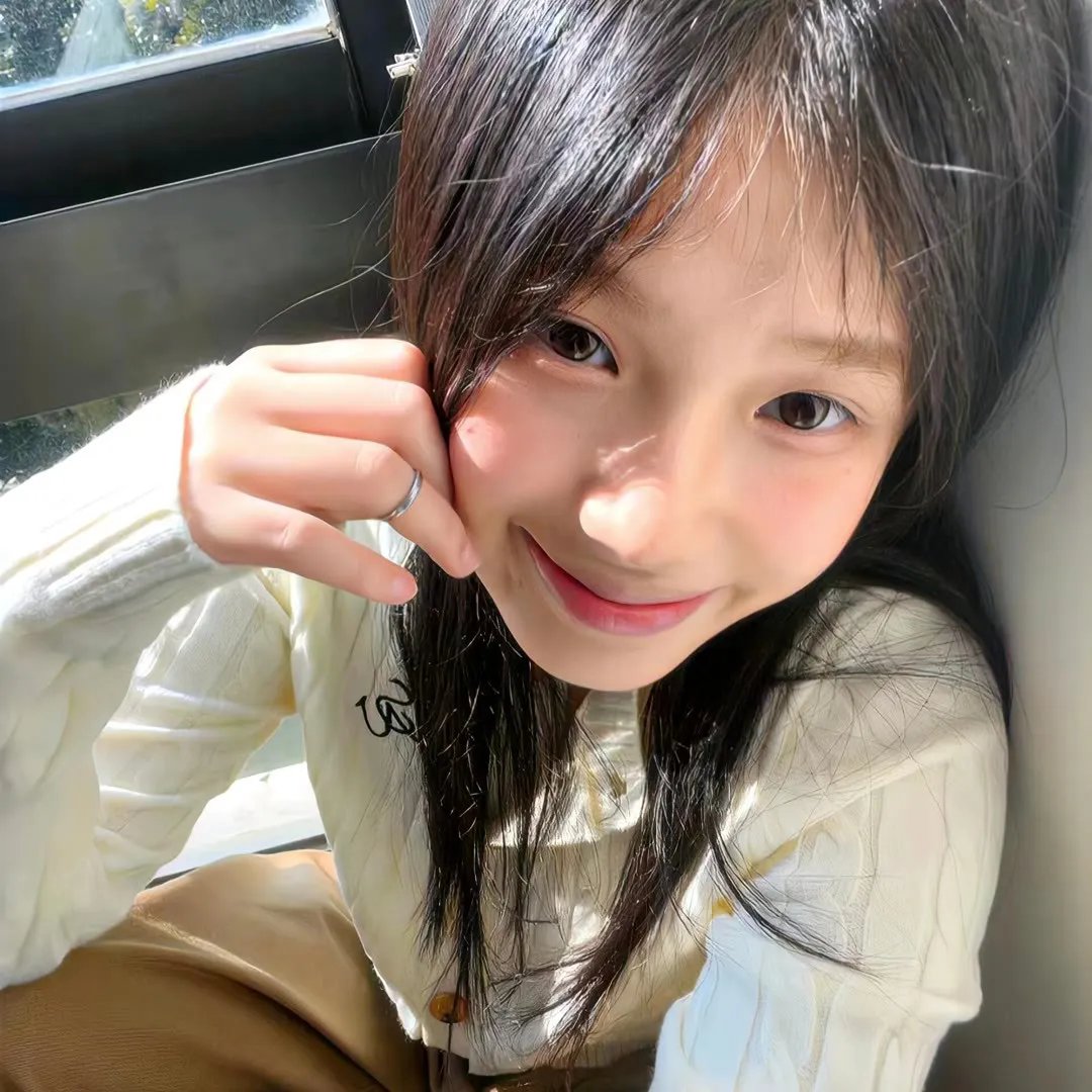 精武飞鸿